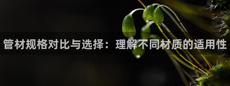 富邦娱乐app的三个版本