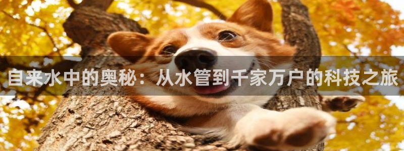 富邦广场翡翠娱乐会所