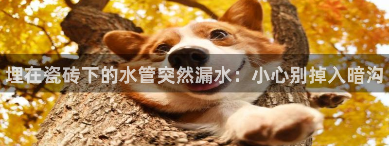 富邦佳丽娱乐厅