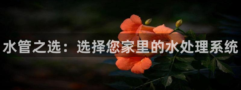 富邦club娱乐网址