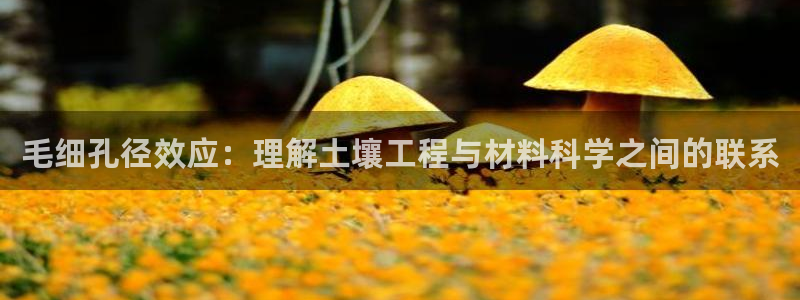 富邦娱乐城 皇恩靠谱